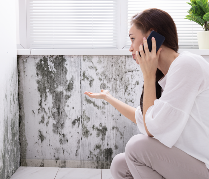 Woman looking at a mold infestation growing on her wall. 