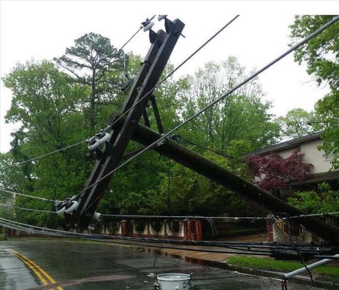transformer on a electric poles and a tree laying across power lines over a road after hurricane