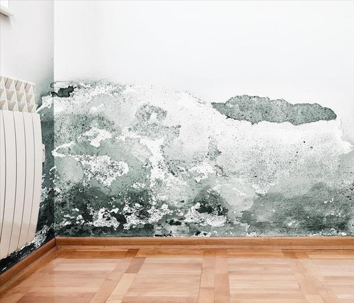 A wall in a room with mold on the walls. 